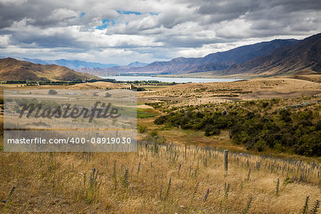 An image of the Lake Pukaki in New Zealand