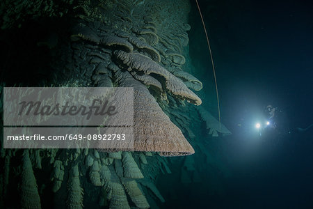 Scuba diver exploring unique natural formations known as "bells" in submerged caves beneath the jungle