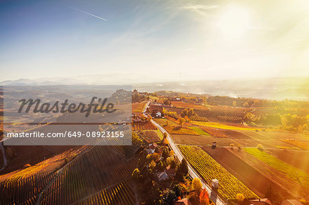 Sunlit view from hot air balloon of rolling landscape and autumn vineyards, Langhe, Piedmont, Italy