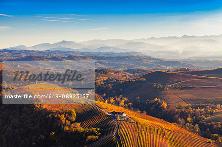 View from hot air balloon of rolling landscape and autumn vineyards, Langhe, Piedmont, Italy