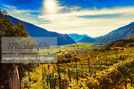 View from vineyards towards valley and mountain range