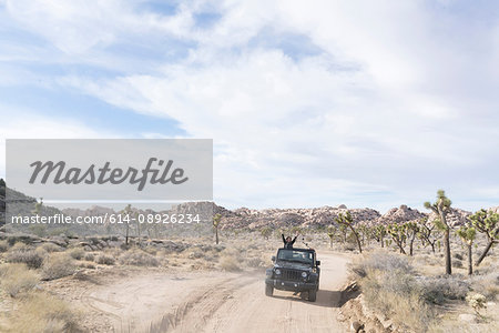 Mature couple in off road vehicle in desert, Joshua Tree National Park, Palm Springs, California, USA