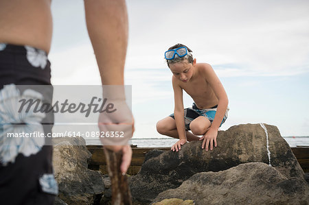 Boy rock pooling, Gulf of Mexico, Emerald Coast, Florida, USA