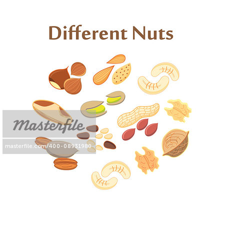 Set of different nuts on a white background