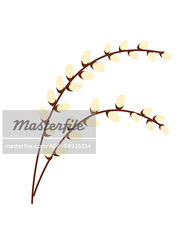 Willow branch icon, flat style. Isolated on white background. Vector illustration, clip-art