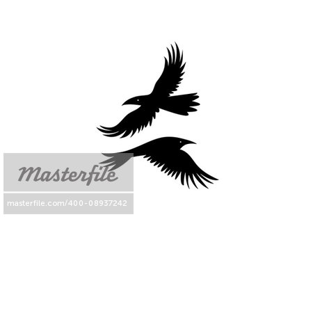 Vector icons of black silhouettes of a crow on a white background