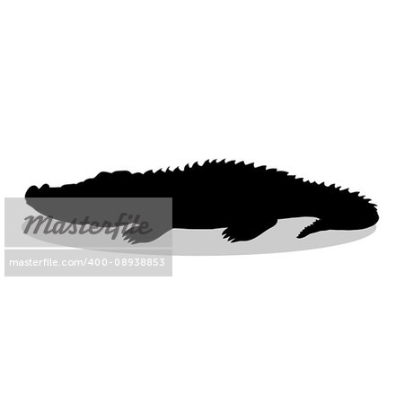 Alligator predator reptile black silhouette animal. Vector Illustrator.