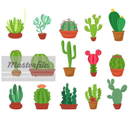 Cactus cartoon flat style collection. Succulent plants in flowerpots isolated on white background . Vector illustration.