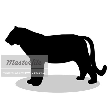 Tiger wildcat black silhouette animal. Vector Illustrator.