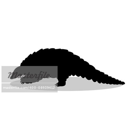 Armadillo mammal black silhouette animal. Vector Illustrator.