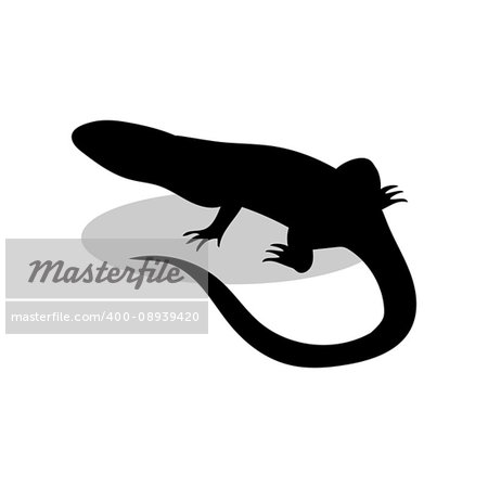 Lizard reptile black silhouette animal. Vector Illustrator.