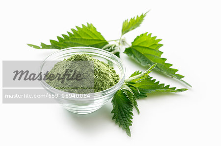 Stinging nettle powder in a glass bowl