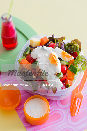 Vegetable salad with yoghurt sauce and hard-boiled egg
