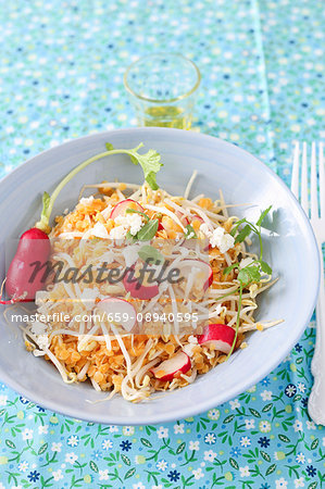 Lentil salad with beansprouts and radishes