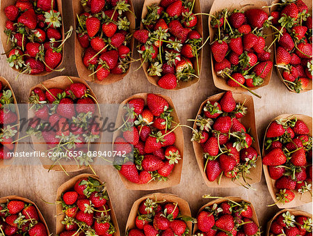 Cardboard punnets of wild strawberries at an organic market