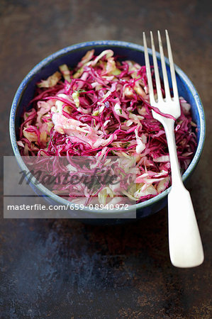 Red and white cabbage salad