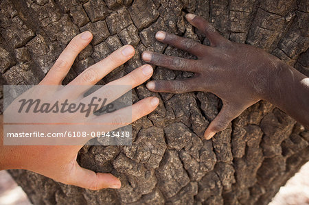 Burkina Faso, Hand of a child 10-year-old inhabitant of Burkina-Faso and hand of an European of 24 put on the trunk of a tree shea-tree