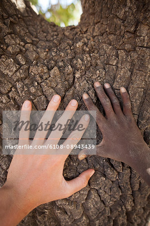 Burkina Faso, Hand of a child 10-year-old inhabitant of Burkina-Faso and hand of an European of 24 put on the trunk of a tree shea-tree