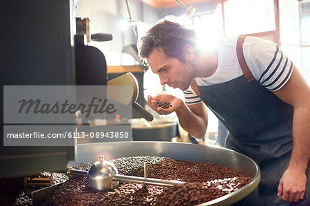 Male coffee roaster smelling coffee beans at roaster