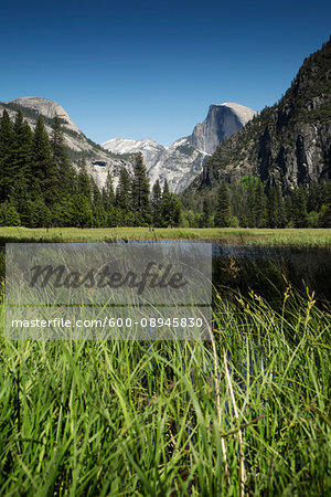 Half Dome mountain in Yosemite National Park in California, USA