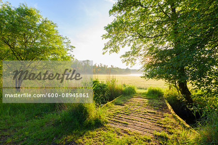 Wooden bridge crossing stream to grassy field in morning light in sprintime in Hesse, Germany