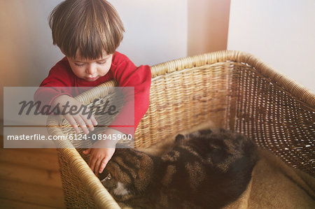 Boy petting cat in basket