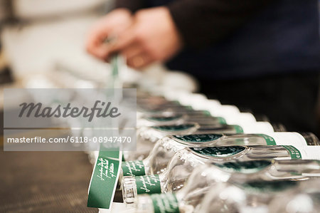 Close up of a man labeling glass bottles in a beer brewery or distillery.