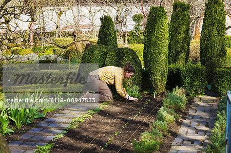 Woman planting seedlings in a bed of soil in the kitchen garden of a hotel.