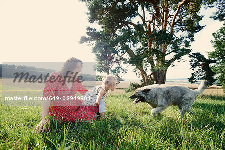 Pregnant woman sitting in field with toddler daughter playing with dog Pregnant woman sitting in field with toddler daughter playing with dog