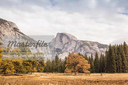 Autumn coloured landscape and mountains, Yosemite National Park, California, USA