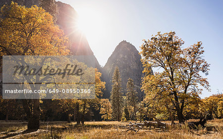 Landscape view with autumn forest, Yosemite National Park, California, USA