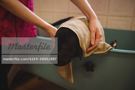Woman bathing a dog in bathtub