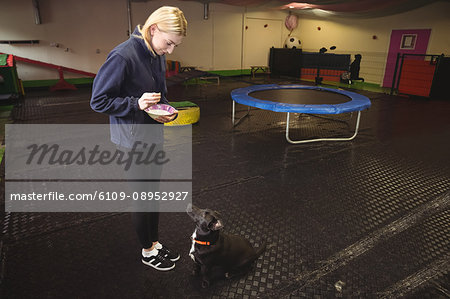 Woman feeding black beagle