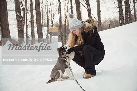 Woman petting young Siberian dog