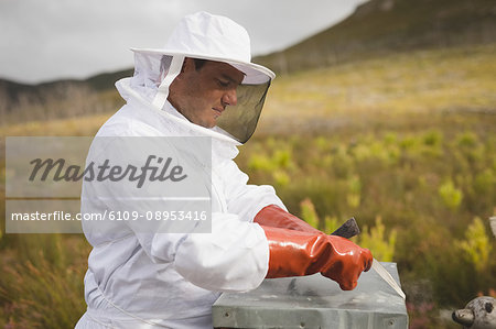 Male beekeepers working on beehive in apiary