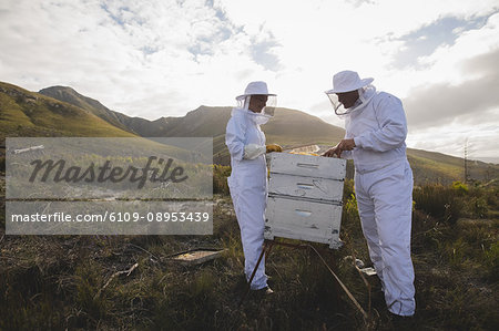 Full length of male and female apiarists working on beehive at apiary