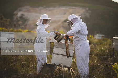 Male and female beekeepers working on beehive on field