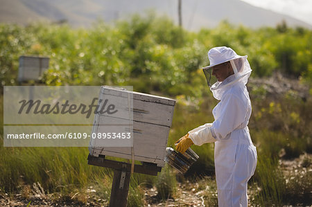 Side view of female beekeeper smoking bees in honeycomb on field