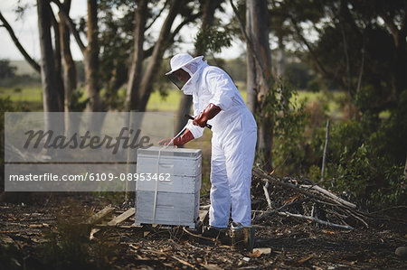 Full length of male beekeeper working on honeycomb at apiary