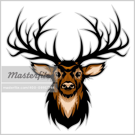 Deer Head. Vector Illustration of Deer Head. Isolated on white.