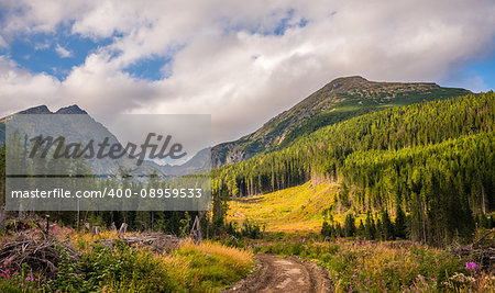 Mountain Landscape on Sunny Day. Mlynicka Valley, High Tatra, Slovakia.