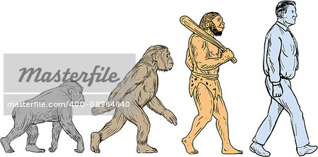 Drawing sketch style illustration showing human evolution from primate ape, homo habilis, homo erectus to modern day human homo sapien walking viewed from the side set on isolated white background.