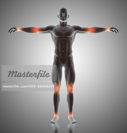 3D render of a male figure with joints highlighted