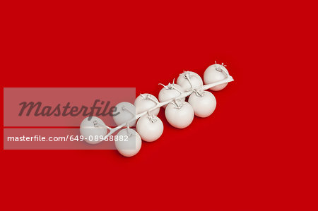 Tomatoes on the vine painted white on red background