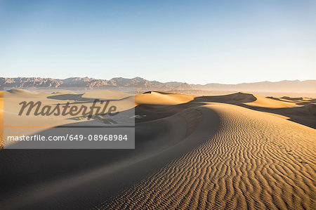 Rippled Mesquite Flat Sand Dunes in Death Valley National Park, California, USA Rippled Mesquite Flat Sand Dunes in Death Valley National Park, California, USA
