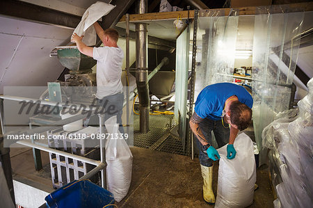 Two men working in a brewery, holding white plastic sacks.