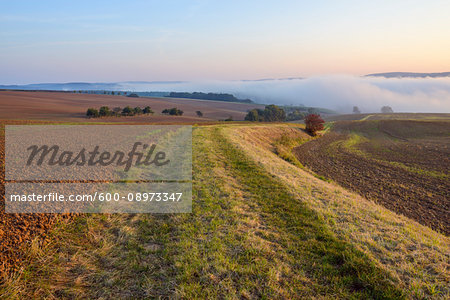 Countryside with path and morning mist over fields at Grossheubach in Bavaria, Germany