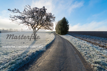 Field road in countryside in autumn with hoarfrost in the district of Vielbrunn in the Odenwald hills in Hesse, Germany Field road in countryside in autumn with hoarfrost in the district of Vielbrunn in the Odenwald hills in Hesse, Germany