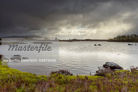Shoreline of a lake in a moor landscape with stormy sky at Rannoch Moor in Scotland, United Kingdom