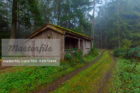 Wooden hut and dirt road in forest on a damp morning in Odenwald in Hesse, Germany